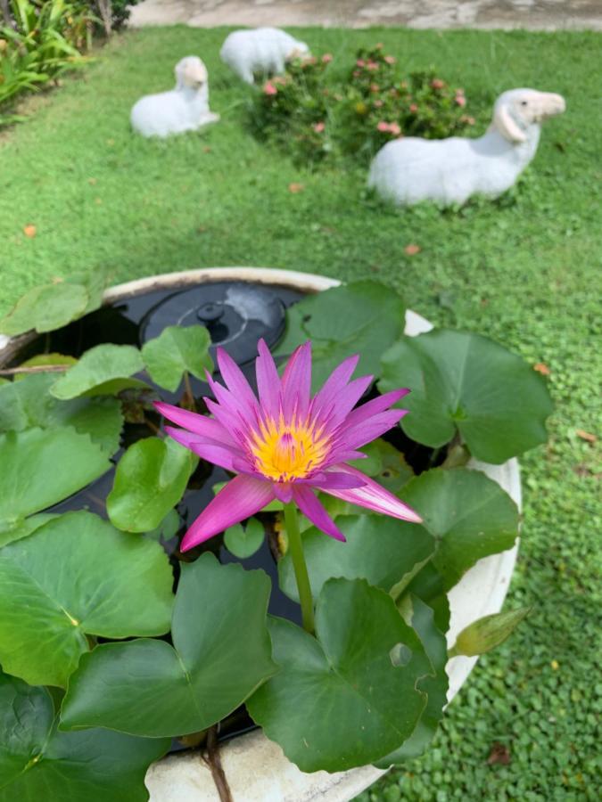 The Orchid House Hotell Nong Kung Yai Exteriör bild