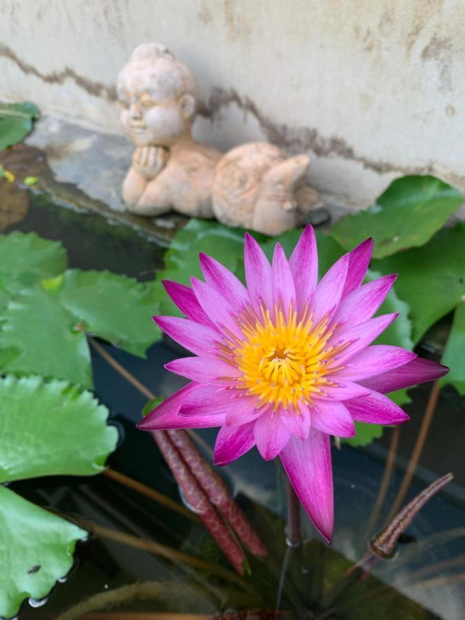 The Orchid House Hotell Nong Kung Yai Exteriör bild